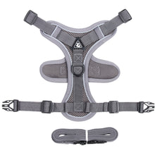 Reflective Mesh Cat Harness and Leash Set — Grey variant