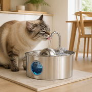 3.2-Liter Stainless-Steel Cat Water Fountain with Multi-Filter — cat-friendly home interior