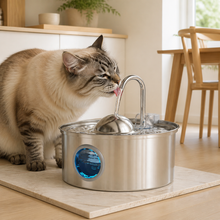 3.2-Liter Stainless-Steel Cat Water Fountain with Multi-Filter — cat-friendly home interior