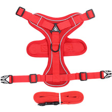 Reflective Mesh Cat Harness and Leash Set — Red variant