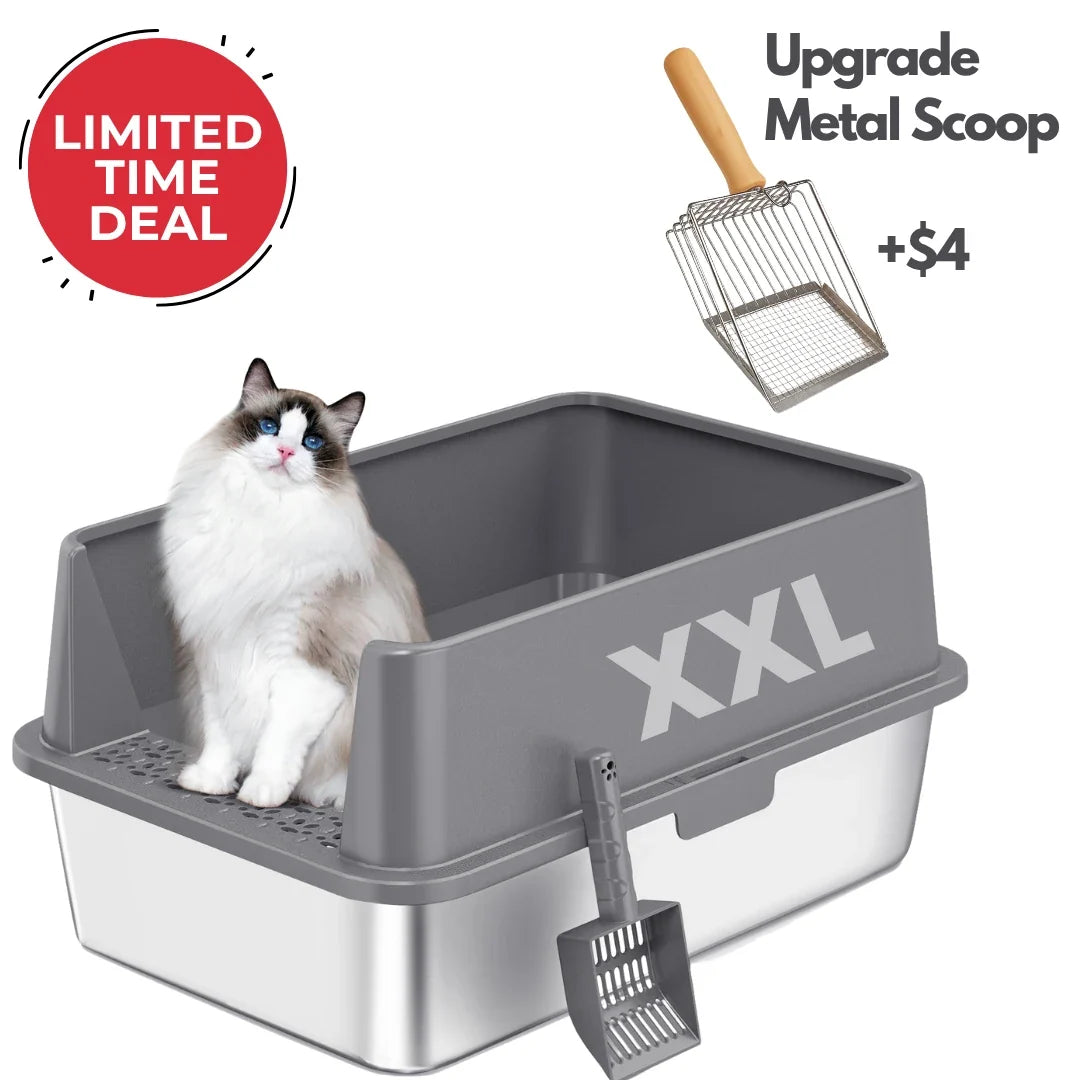 XXL 304 Stainless-Steel Cat Litter Box with High Sides, Low Entry & Non-Slip Accessories