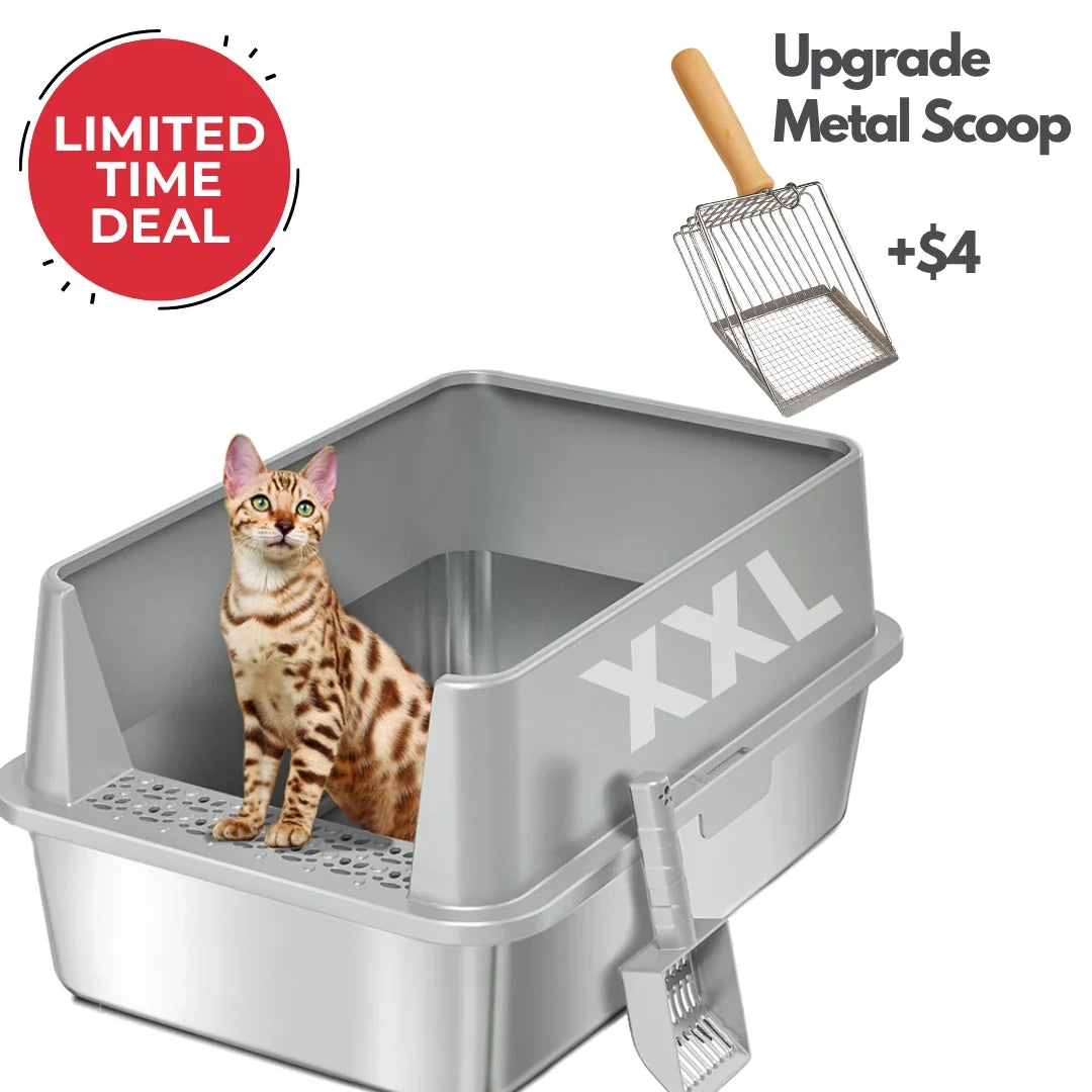 XXL 304 Stainless-Steel Cat Litter Box with High Sides, Low Entry & Non-Slip Accessories