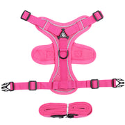Reflective Mesh Cat Harness and Leash Set — Rose red variant