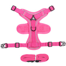Reflective Mesh Cat Harness and Leash Set — Rose red variant