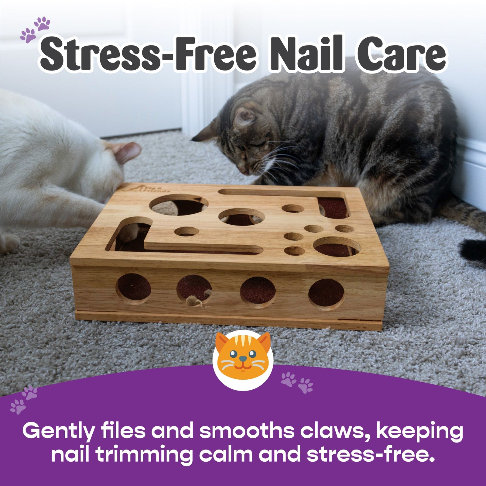 Solid Oak Cat Nail-File Enrichment Puzzle Box with Replaceable Scratch-Paper Inserts