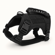 Adjustable Tactical Cat Harness in Black — clean background product view
