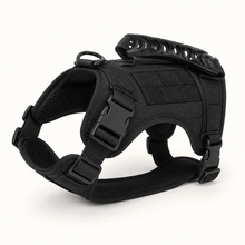 Adjustable Tactical Cat Harness in Black — clean background product view
