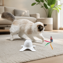 Automatic Rotating Butterfly Cat Toy — cat-friendly home interior