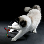 Automatic Rotating Butterfly Cat Toy — product detail 4