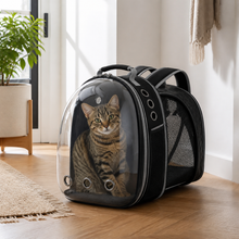Black Expandable Ventilated Cat Carrier Backpack — cat-friendly home interior