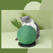 Cactus Sisal Cat Scratching Post with Ball Toy — cat-friendly home interior