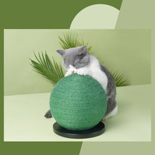Cactus Sisal Cat Scratching Post with Ball Toy — cat-friendly home interior