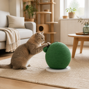 Cactus Sisal Cat Scratching Post with Ball Toy in a cat-friendly home interior