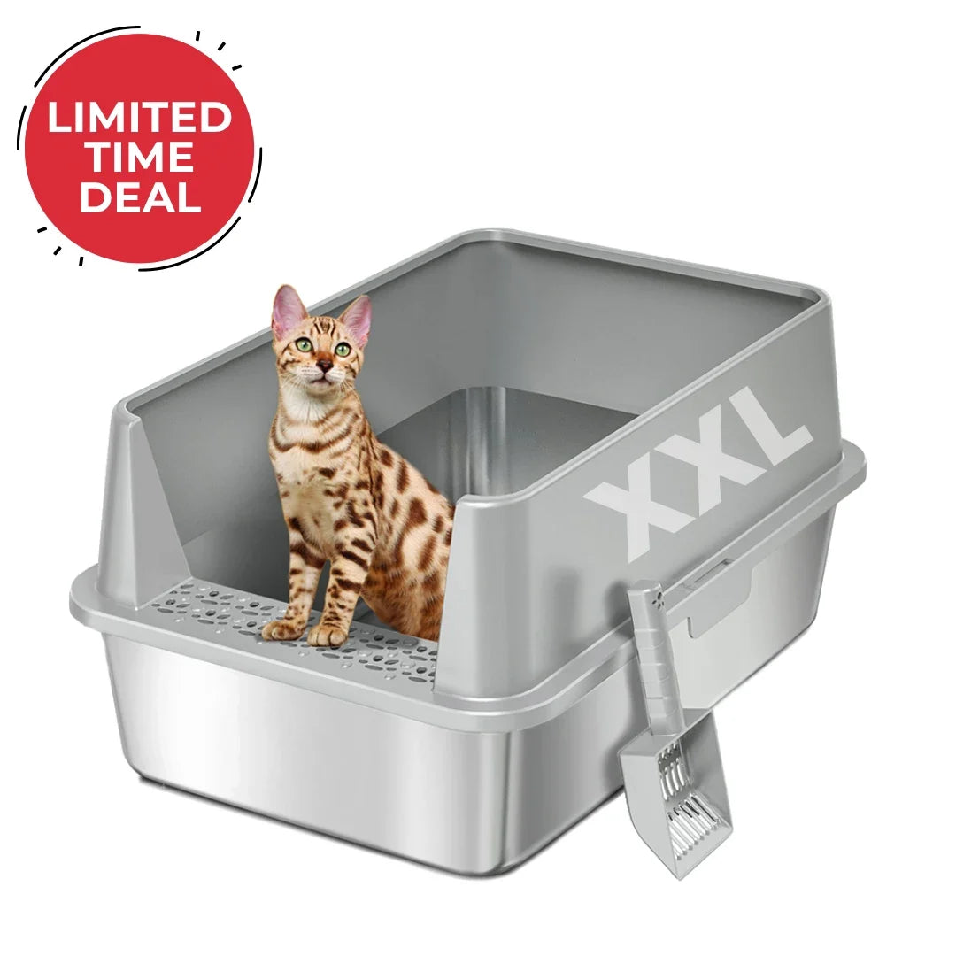 XXL 304 Stainless-Steel Cat Litter Box with High Sides, Low Entry & Non-Slip Accessories