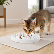 Ceramic Maze Slow-Feeder Bowl for Cats — cat-friendly home interior