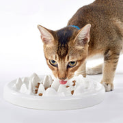 Ceramic Maze Slow-Feeder Bowl for Cats — product detail 1