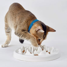 Ceramic Maze Slow-Feeder Bowl for Cats — product detail 4
