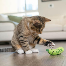 Crunchy Pickle Catnip Kicker Toy with Textured Mesh — product detail 7