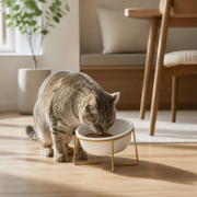 Elevated Tilted Ceramic Cat Bowl with Gold Stand — cat-friendly home interior