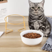 Elevated Tilted Ceramic Cat Bowl with Gold Stand — product detail 6
