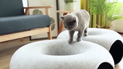 Felt Donut Cat Tunnel Bed with Center Lounger — product detail 1