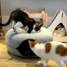 Felt Donut Cat Tunnel Bed with Center Lounger — product detail 4