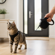5-Meter Retractable Cat Leash with LED Light — cat-friendly home interior