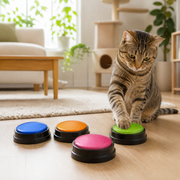 Four-Pack Recordable Pet Communication Buttons in a cat-friendly home interior