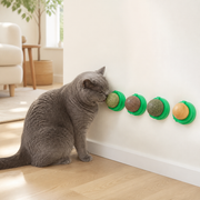 Four-Piece Catnip & Silvervine Wall Ball Set — cat-friendly home interior