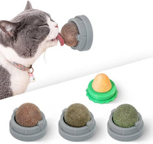 Four-Piece Catnip & Silvervine Wall Ball Set — product detail 2
