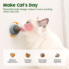 Four-Piece Catnip & Silvervine Wall Ball Set — product detail 4