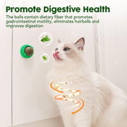 Four-Piece Catnip & Silvervine Wall Ball Set — product detail 5