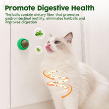 Four-Piece Catnip & Silvervine Wall Ball Set — product detail 5