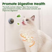 Four-Piece Catnip & Silvervine Wall Ball Set — product detail 8