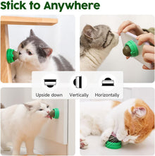 Four-Piece Catnip & Silvervine Wall Ball Set — product detail 9