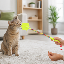 Large Target Stick for Positive Cat Training — cat-friendly home interior