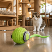Rechargeable Automatic Rolling Cat Toy Ball — cat-friendly home interior
