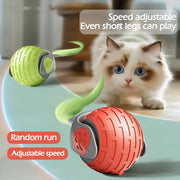 Rechargeable Automatic Rolling Cat Toy Ball — product detail 1