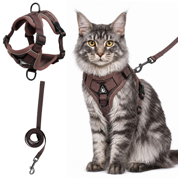 Reflective Mesh Cat Harness and Leash Set — clean background product view