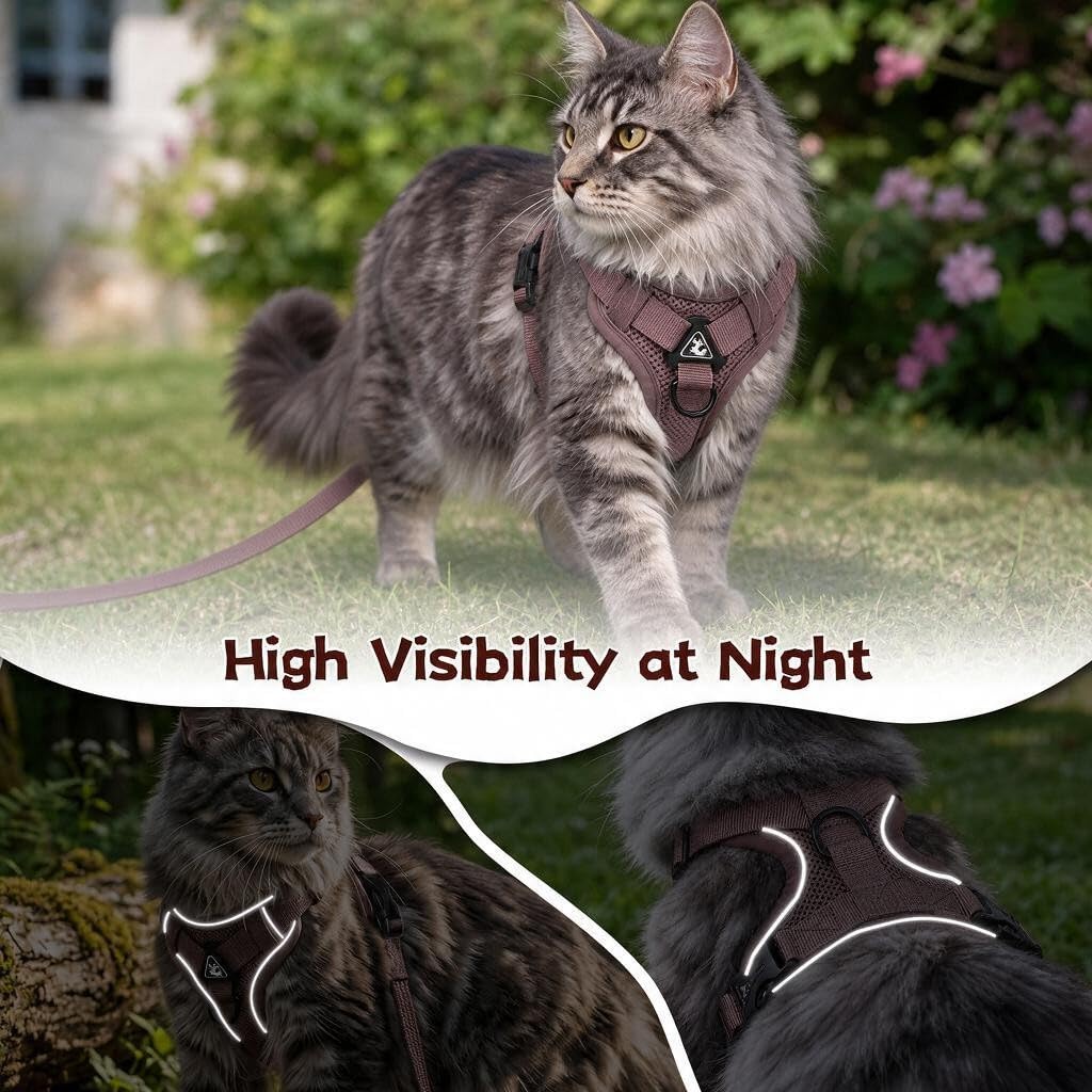 Reflective Mesh Cat Harness and Leash Set — cat-friendly home interior