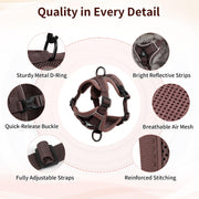 Reflective Mesh Cat Harness and Leash Set — product detail 3