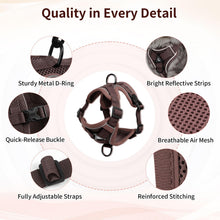 Reflective Mesh Cat Harness and Leash Set — product detail 3