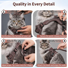 Reflective Mesh Cat Harness and Leash Set — product detail 4
