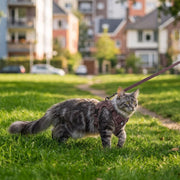 Reflective Mesh Cat Harness and Leash Set — product detail 7