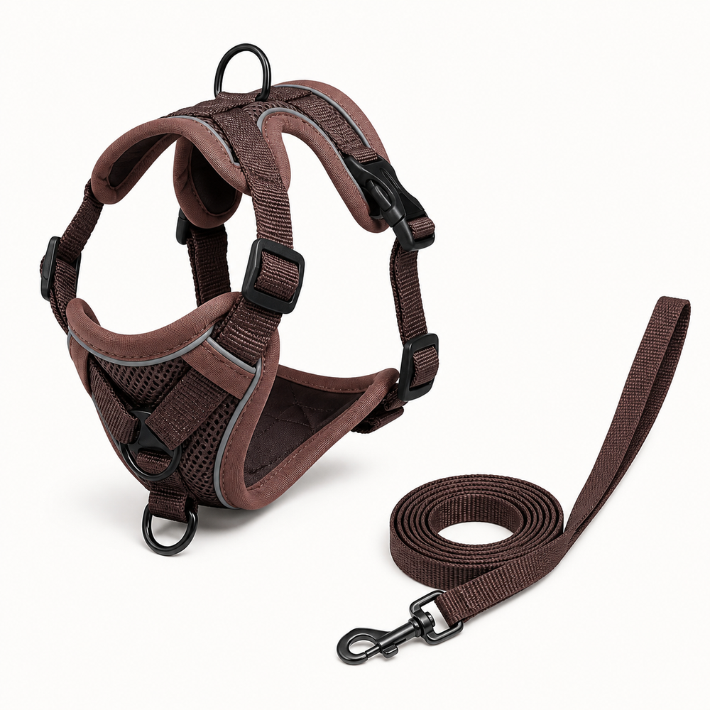 Reflective Mesh Cat Harness and Leash Set on a clean background