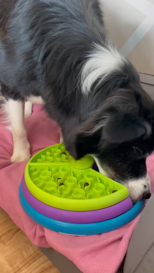 Rotating Cat Treat Puzzle Feeder Board — cat-friendly home interior