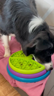 Rotating Cat Treat Puzzle Feeder Board — cat-friendly home interior
