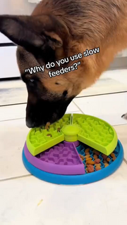 Rotating Cat Treat Puzzle Feeder Board — product detail 1