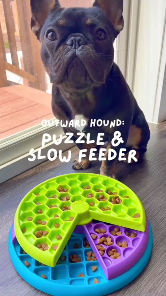 Rotating Cat Treat Puzzle Feeder Board — product detail 3
