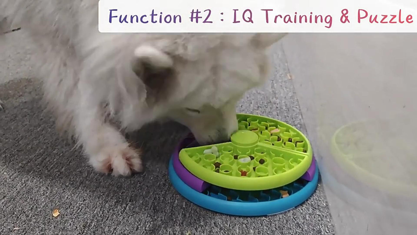 Rotating Cat Treat Puzzle Feeder Board — product detail 5